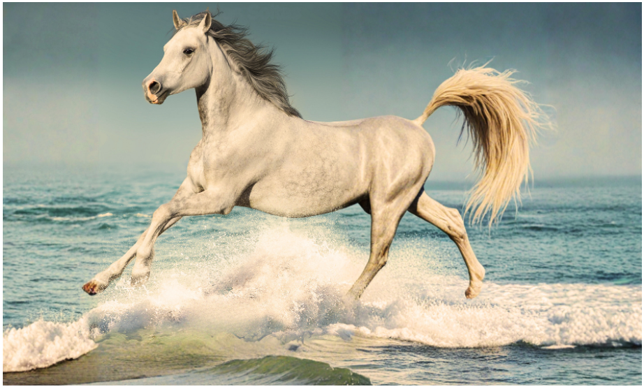 Apresentação do livro | "De Rédeas Soltas", de Gabriel Ethan Paz | março 2026